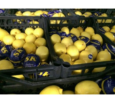 Бажаєте купити лимон з доставкою по Одесі?