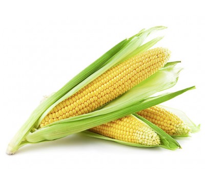 Молодая кукуруза 
